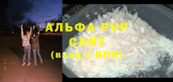 прущие грибы Елизово
