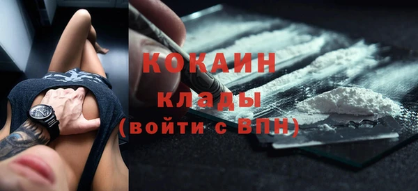 ешки Ельня