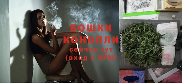 ешки Ельня
