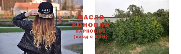 прущие грибы Елизово