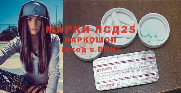 прущие грибы Елизово