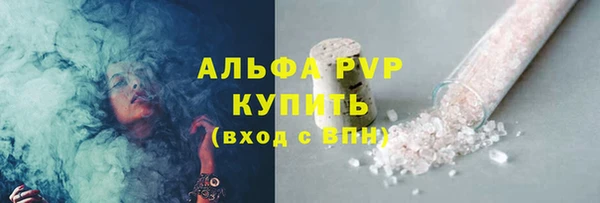 ешки Ельня