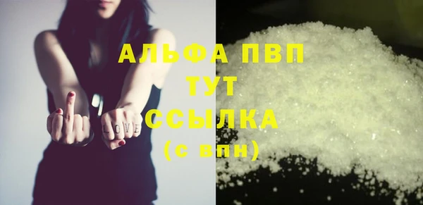 прущие грибы Елизово