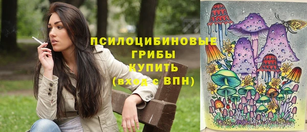 ешки Ельня