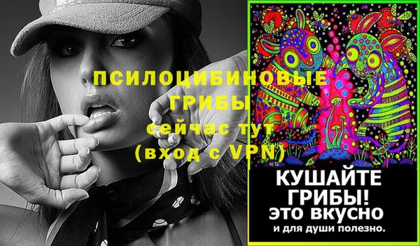 ешки Ельня