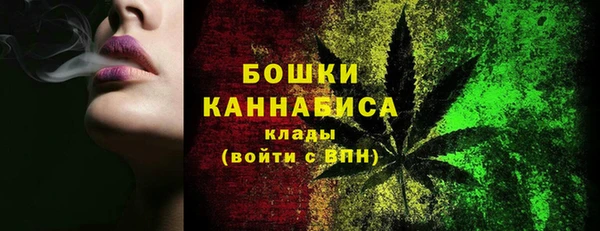 прущие грибы Елизово