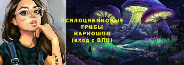 ешки Ельня